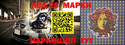 молекула духа Коммунар