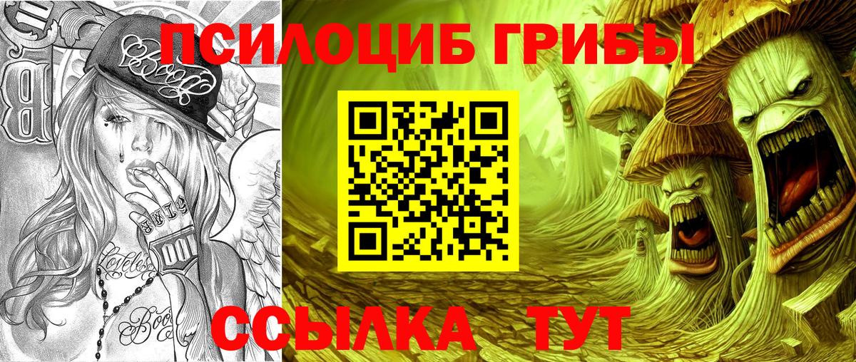 Галлюциногенные грибы Psilocybine cubensis  где купить наркоту  Курганинск  Галлюциногенные грибы Psilocybine cubensis  Вход с VPN 