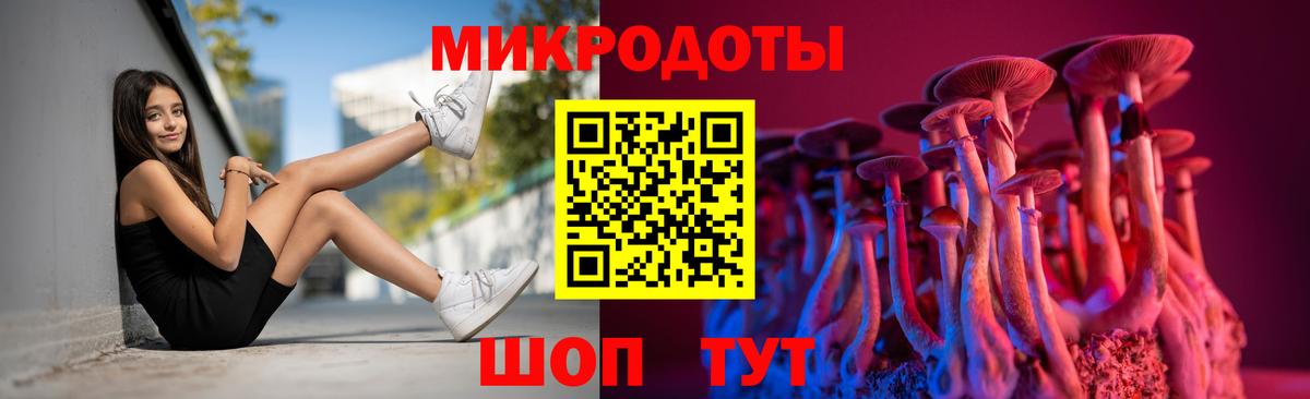 Галлюциногенные грибы Psilocybe Курганинск